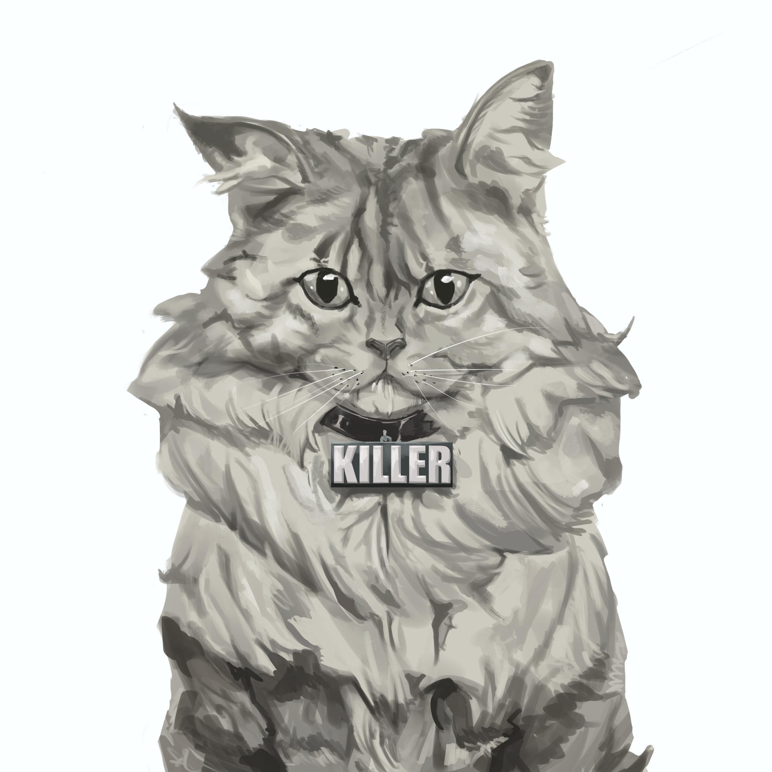 Portrait Illustration